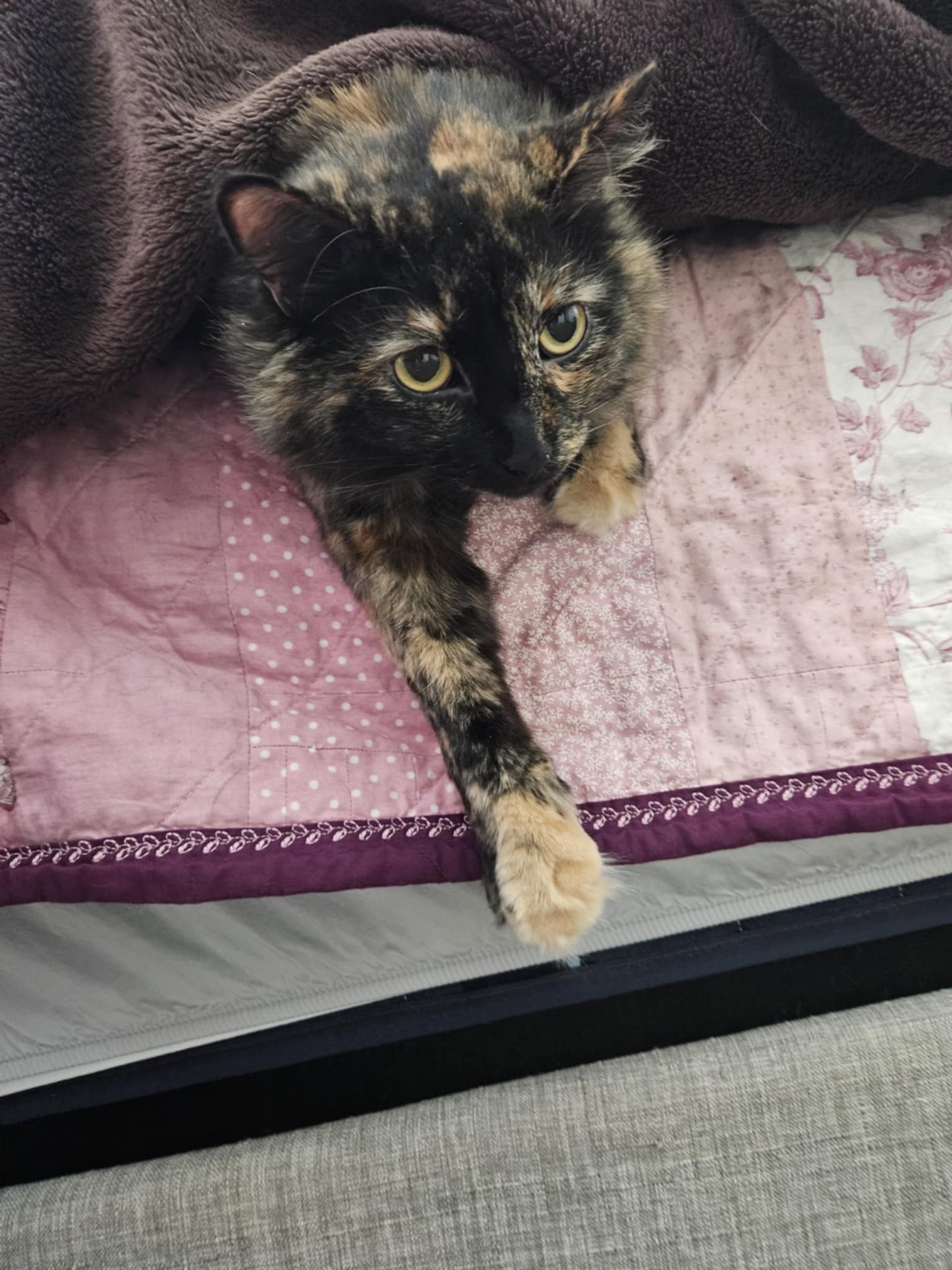 The Junie PDF Quilt Pattern